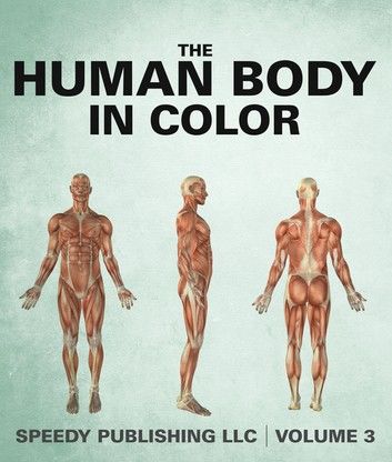 The Human Body In Color Volume 3