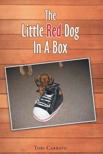 The Little Red Dog In A Box