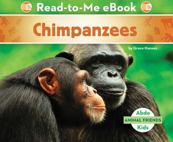 Chimpanzees