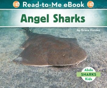 Angel Sharks