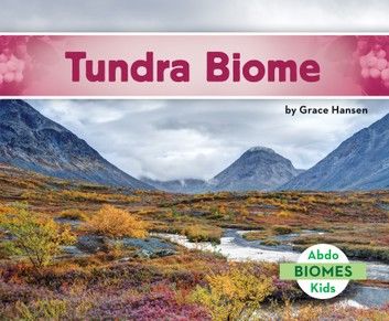 Tundra Biome