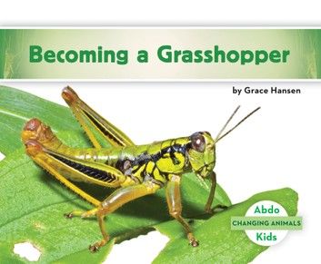 Becoming a Grasshopper