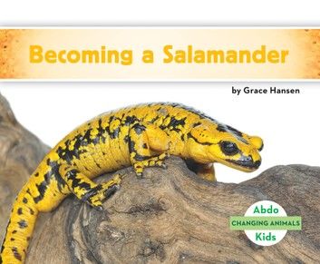 Becoming a Salamander