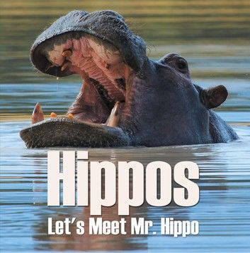 Hippos - Let\