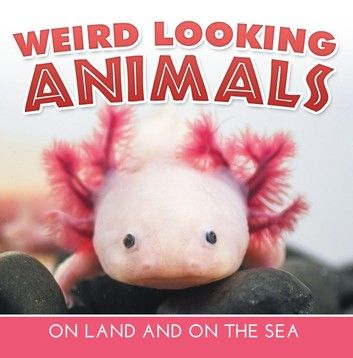 Weird Looking Animals On Land and On The Sea