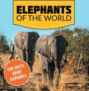 Elephants of the World: Fun Facts About Elephants