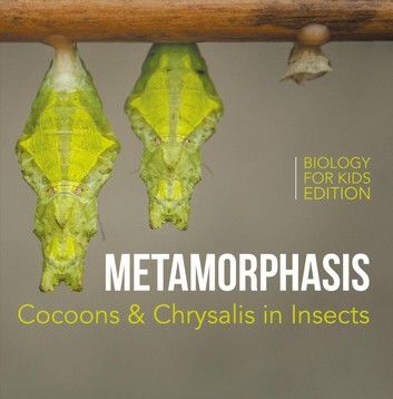 Metamorphosis: Cocoons & Chrysalis in Insects | Biology for Kids Edition