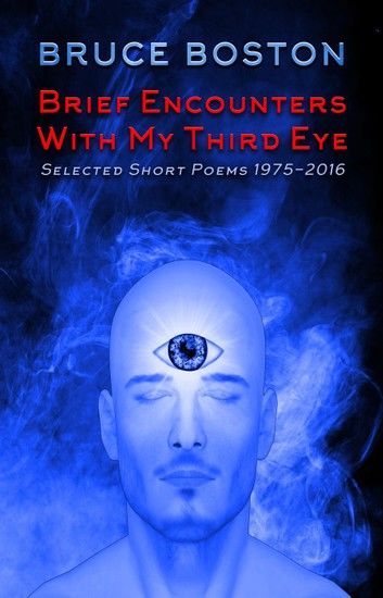 Brief Encounters with my Third Eye: Selected Poems