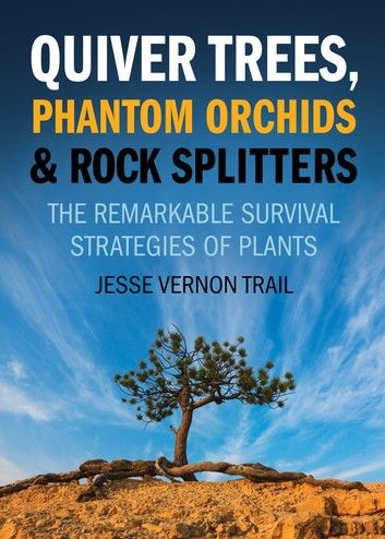 Quiver Trees, Phantom Orchids & Rock Splitters
