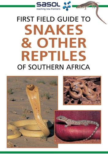 First Field Guide to Snakes & other Reptiles of Southern Africa