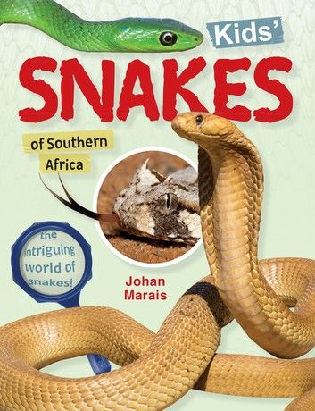 Kids’ snakes of Southern Africa