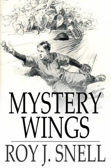 Mystery Wings