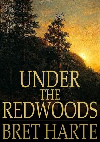 Under the Redwoods