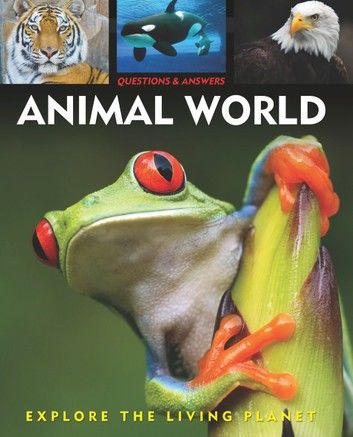 Questions and Answers about: Animal World