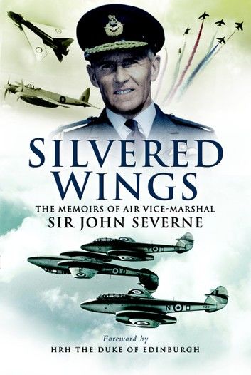 Silvered Wings