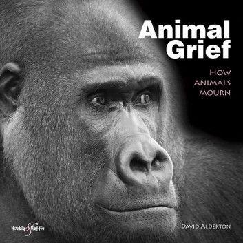 Animal Grief