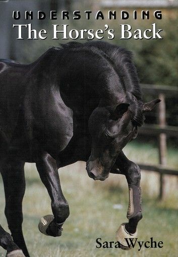 Understanding The Horse\