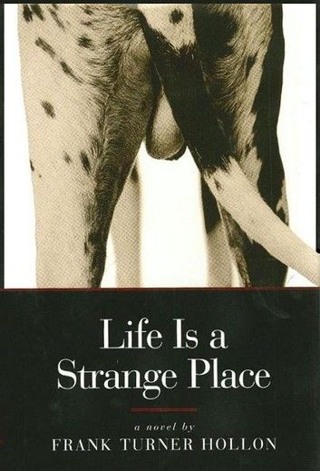 Life is a Strange Place