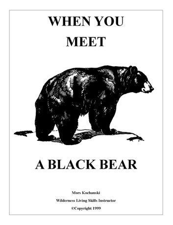 When You Meet a Black Bear