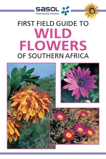 First Field Guide to Wild Flowers of Southern Africa