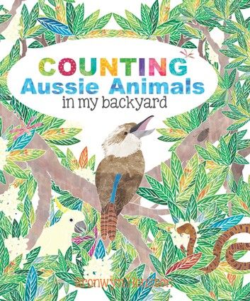 Counting Aussie Animals in my Backyard