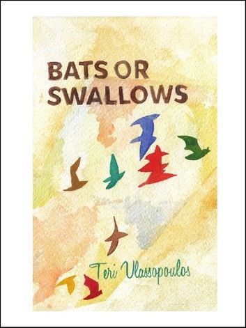Bats or Swallows