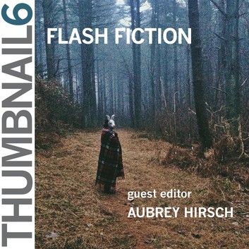 Thumbnail 6: Flash Fiction