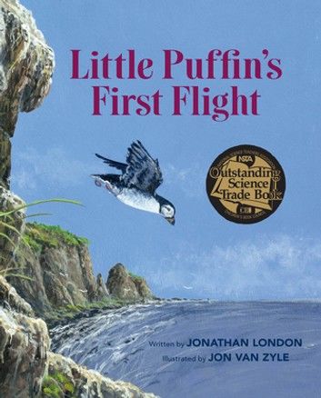 Little Puffin\