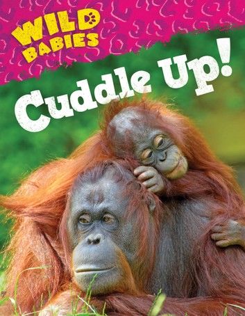 Cuddle Up!