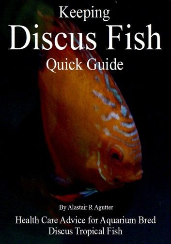 Keeping Discus Fish Quick Guide: Health Care Advice for Aquarium Bred Discus Tropical Fish