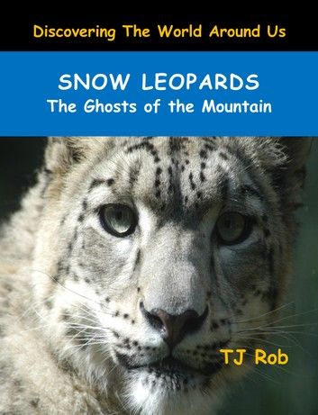 Snow Leopards