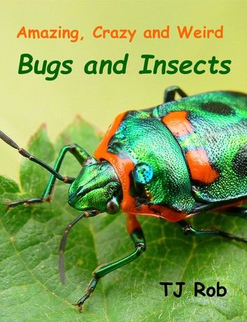 Amazing, Crazy and Weird Bugs and Insects