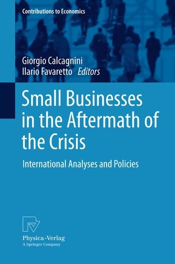 Small Businesses in the Aftermath of the Crisis