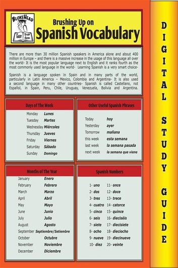 Spanish Vocabulary (Blokehead Easy Study Guide)