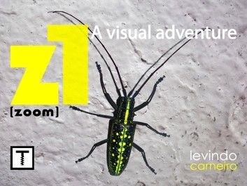 Z1