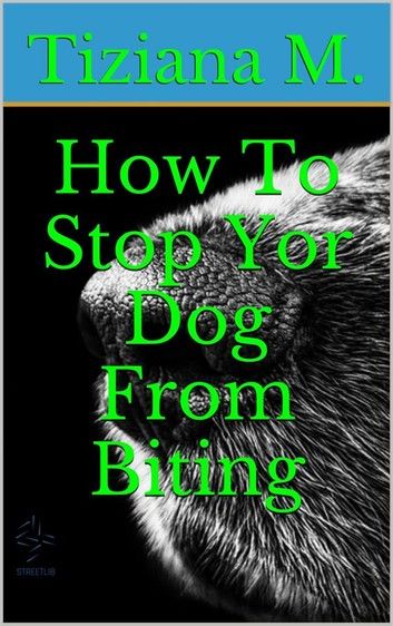 How To Stop Your Dog From Biting