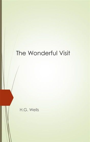 The Wonderful Visit