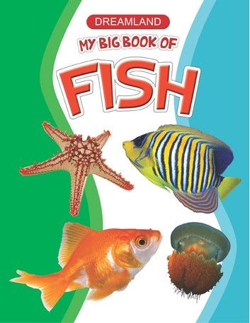 My Big Book of Fish