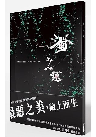 濁之蓮【金石堂、博客來熱銷】