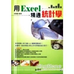 用Excel精通統計學(附光碟)