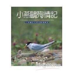 小燕鷗殉情記：小燕鷗在台灣的繁殖情事