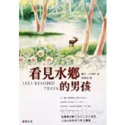 看見水鄉的男孩【金石堂、博客來熱銷】