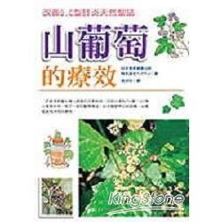 山葡萄的療效：改善B.C肝炎天然聖品－生活健康系列