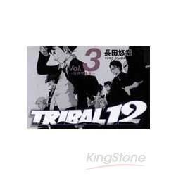 TRIBAL12世界守護者（3）（完）