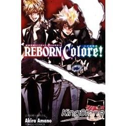 家庭教師HITMAN REBORN！公式視覺書