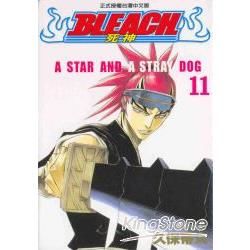 BLEACH 死神11