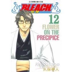 BLEACH 死神12