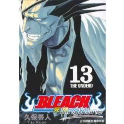 BLEACH 死神13