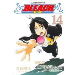 BLEACH 死神14