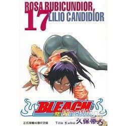 BLEACH 死神17